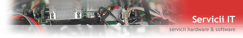 Service calculatoare si periferice, retele si servicii software - UniSoft